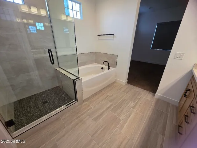 a bathroom with a double vanity sink a mirror and a shower