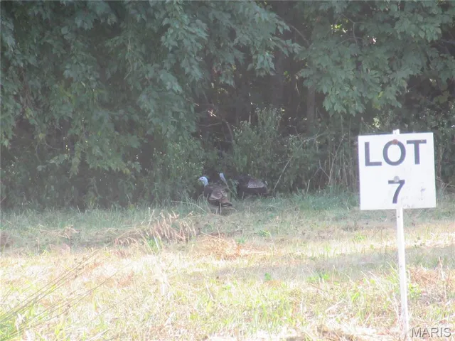 $60,000 | 804 Timber Creek Court, Hawk Point, MO 63349