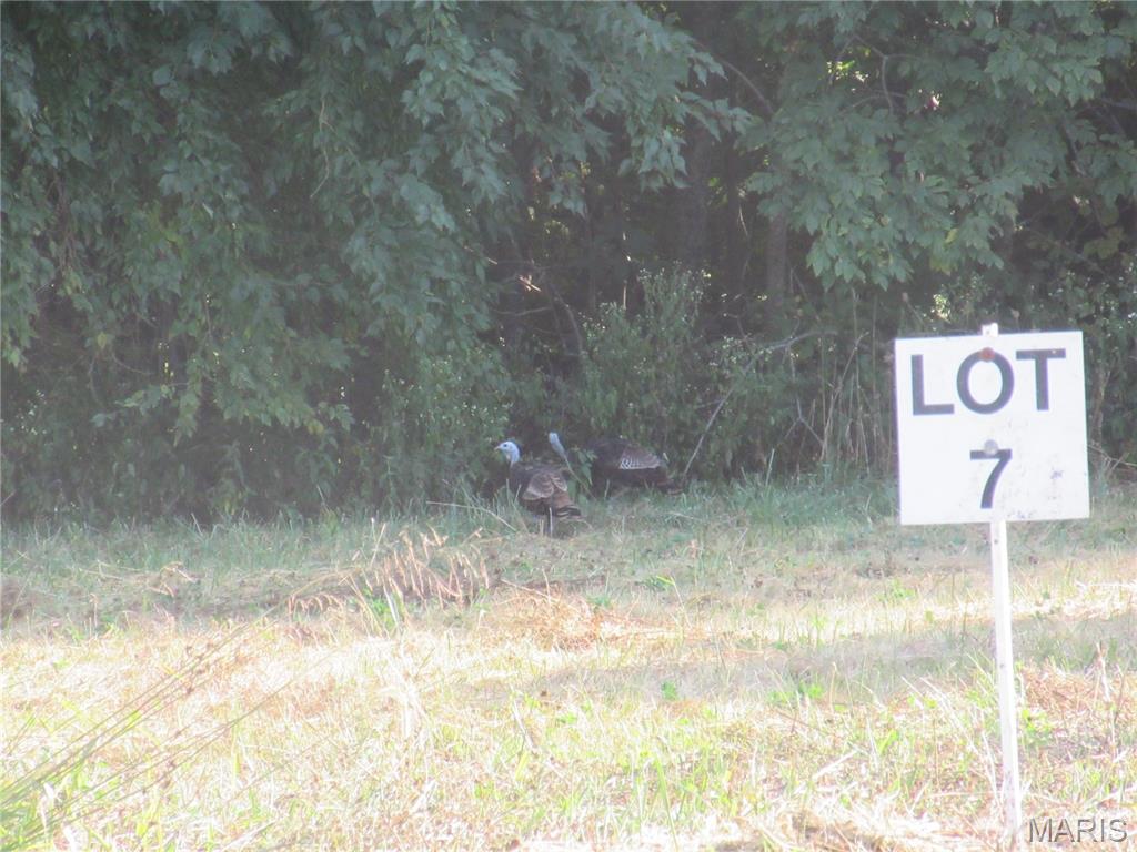 804 Timber Creek Court Hawk Point, MO 63349 - Photo 2 of 8