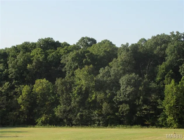 $60,000 | 804 Timber Creek Court, Hawk Point, MO 63349