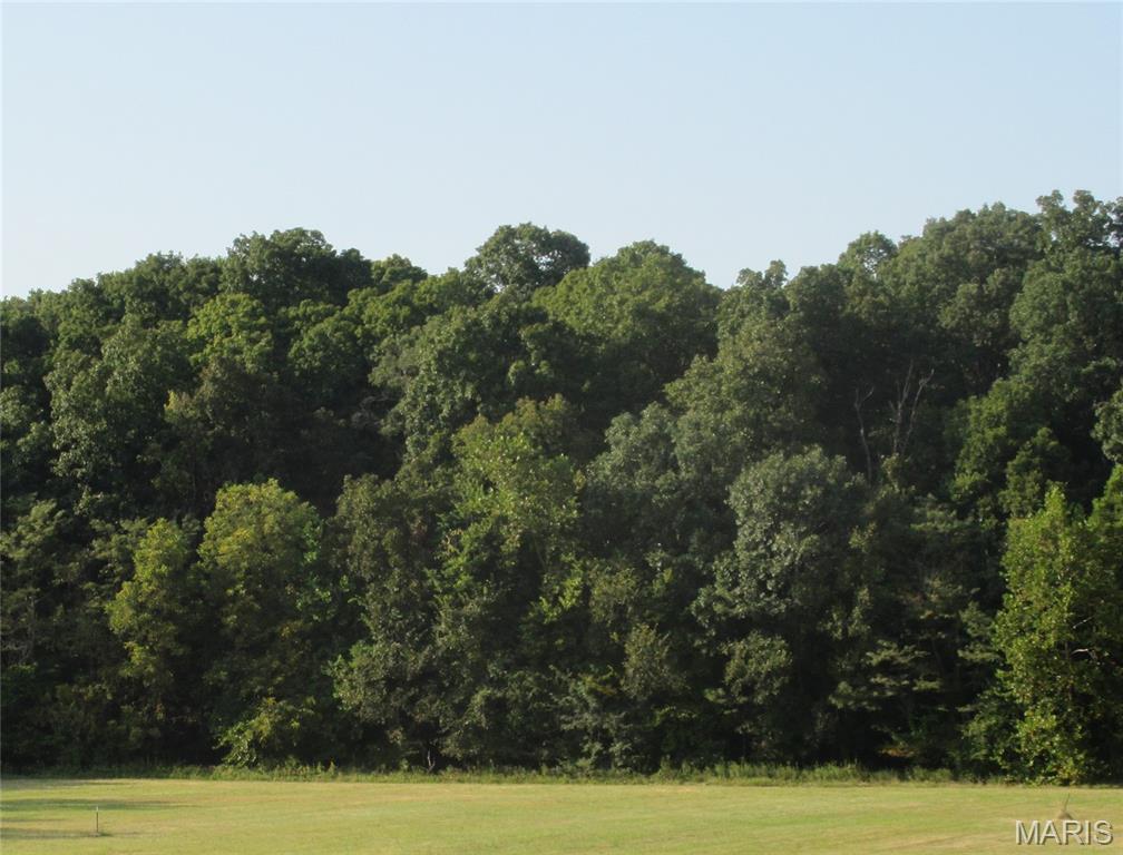 804 Timber Creek Court Hawk Point, MO 63349 - Photo 5 of 8