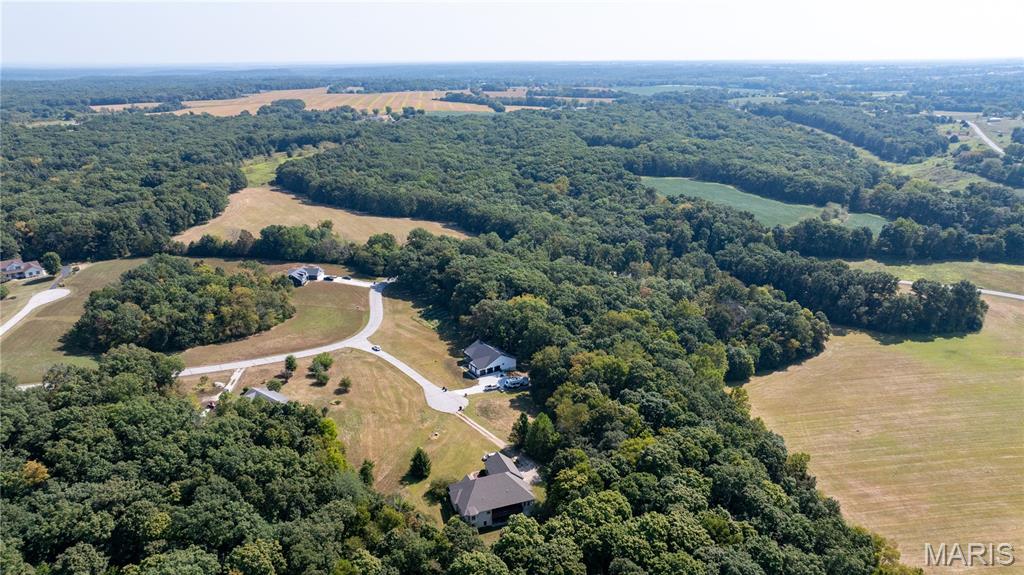 804 Timber Creek Court Hawk Point, MO 63349 - Photo 8 of 8