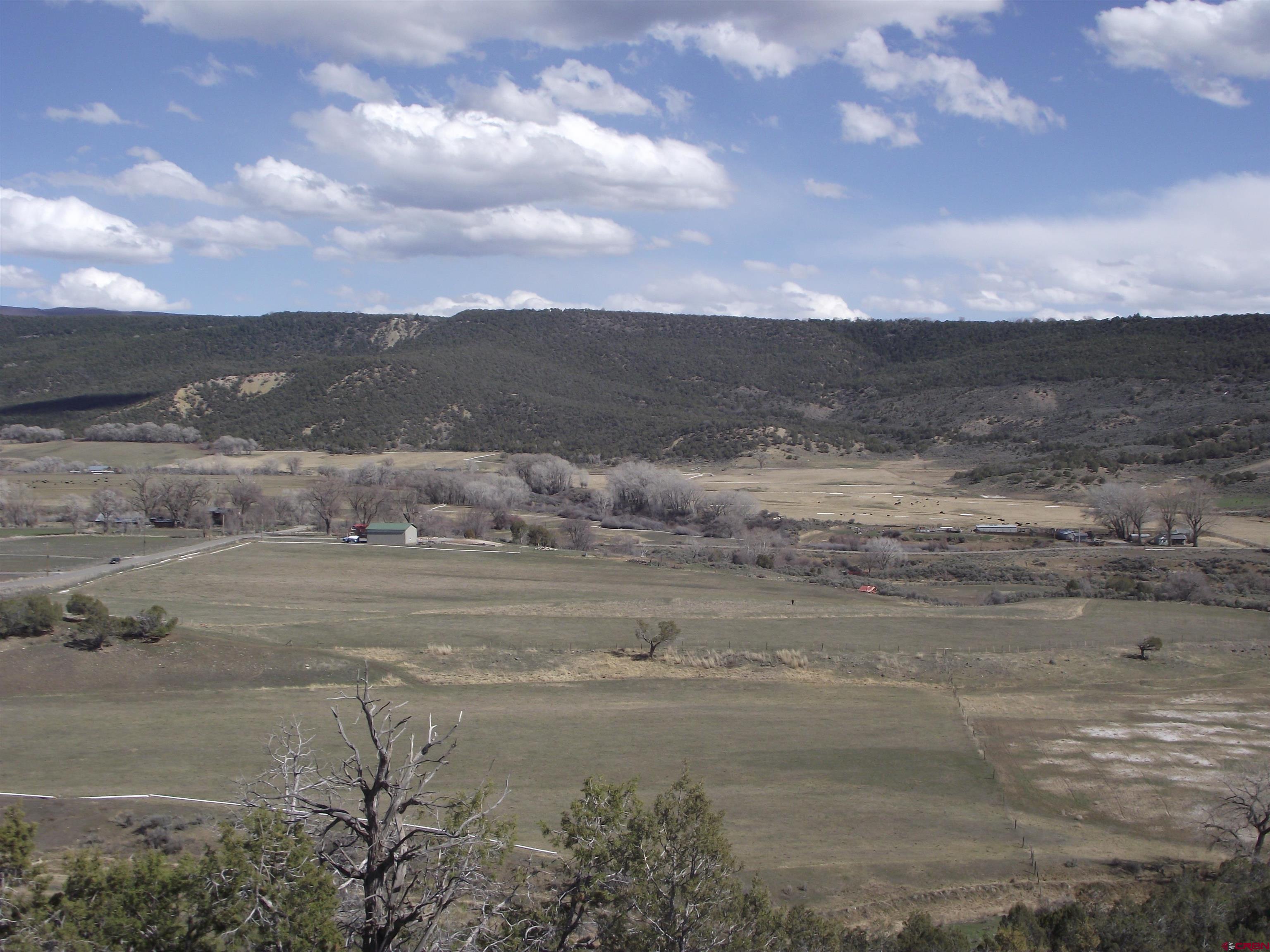 15770 Heavens View Road Cedaredge, CO 81413 - Photo 24 of 28