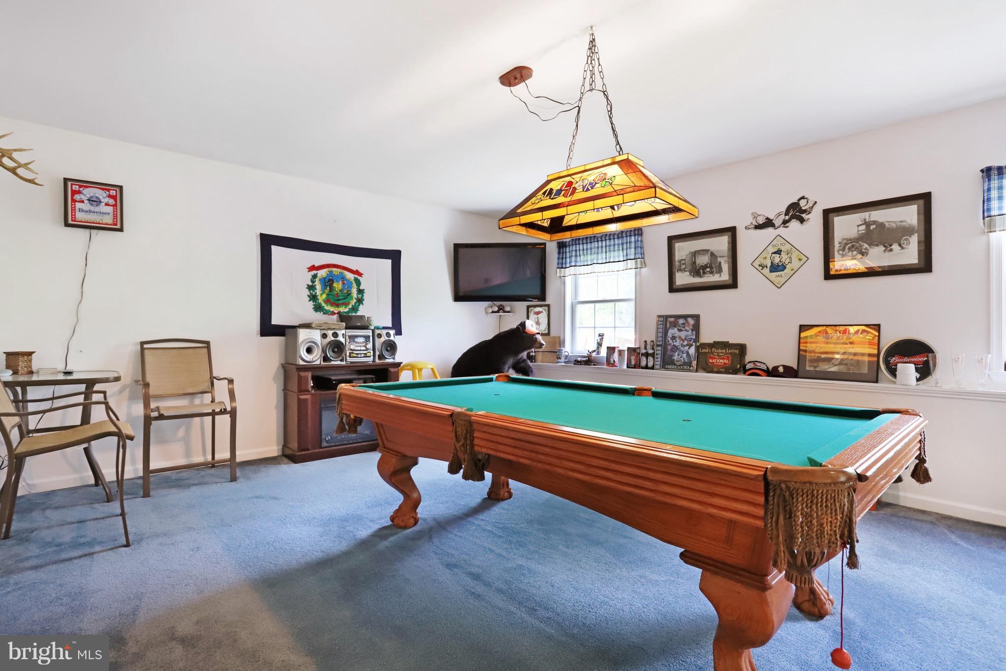 21 Sable Run Road Hancock, MD 21750 - Photo 22 of 26 Family Room