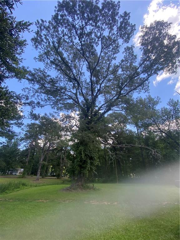 Tbd Kastanek Road Deville, LA 71328 - Photo 2 of 2