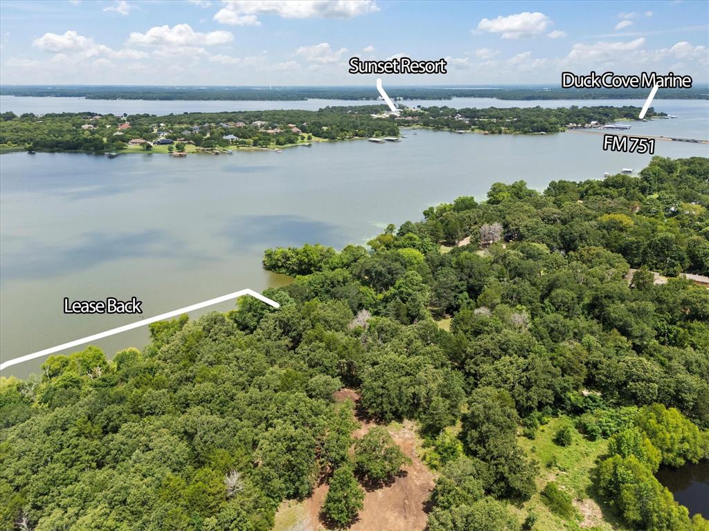 11656 Farm To Market Road 751 Wills Point, TX 75169 - Photo 3 of 25 a view of a lake from a yard