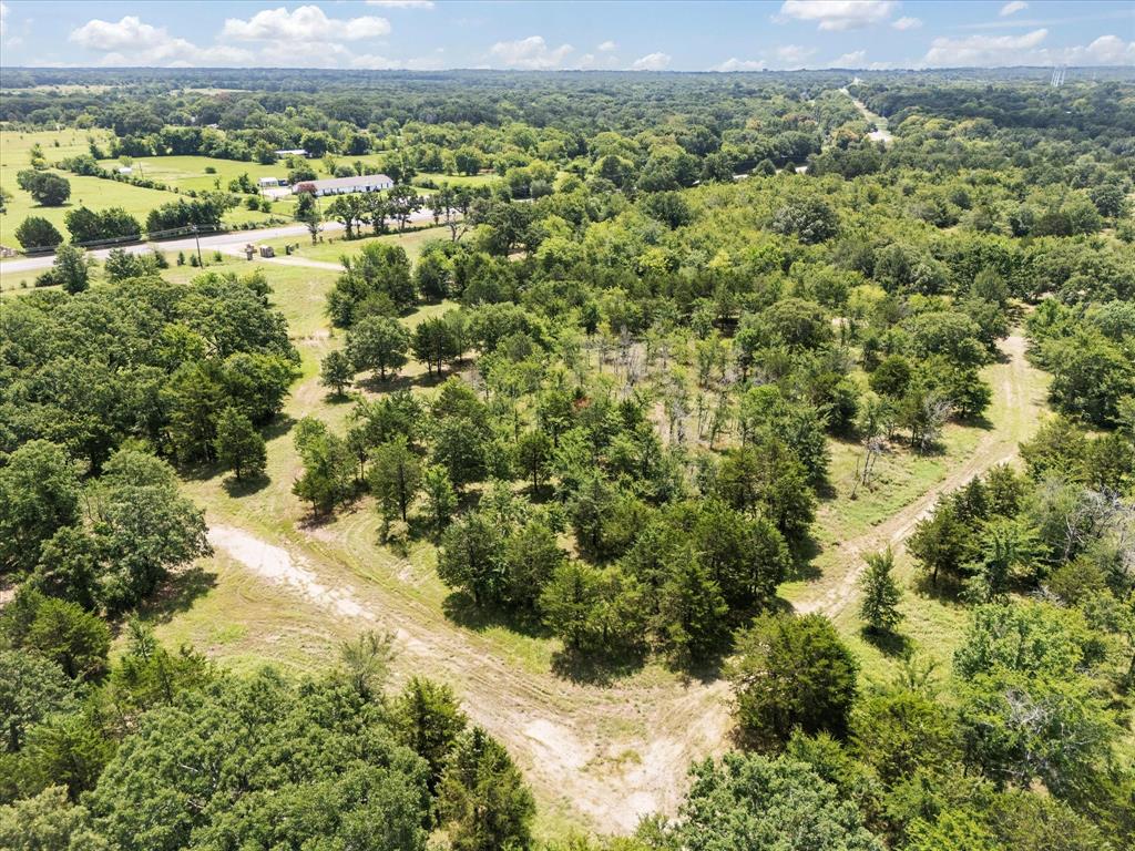 11656 Farm To Market Road 751 Wills Point, TX 75169 - Photo 7 of 25 a view of a forest with a street