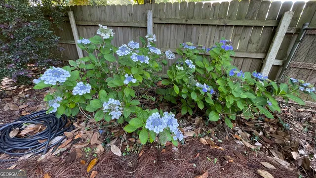 a view of a park with large trees