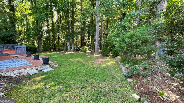 a view of a yard with plants and large trees