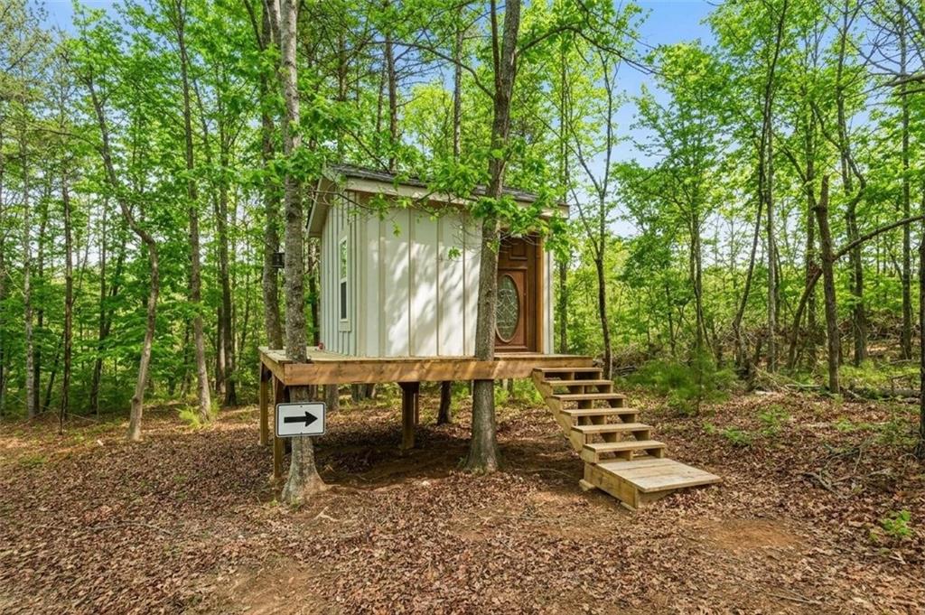 1100 Soap Creek Road Ball Ground, GA 30107 - Photo 101 of 107