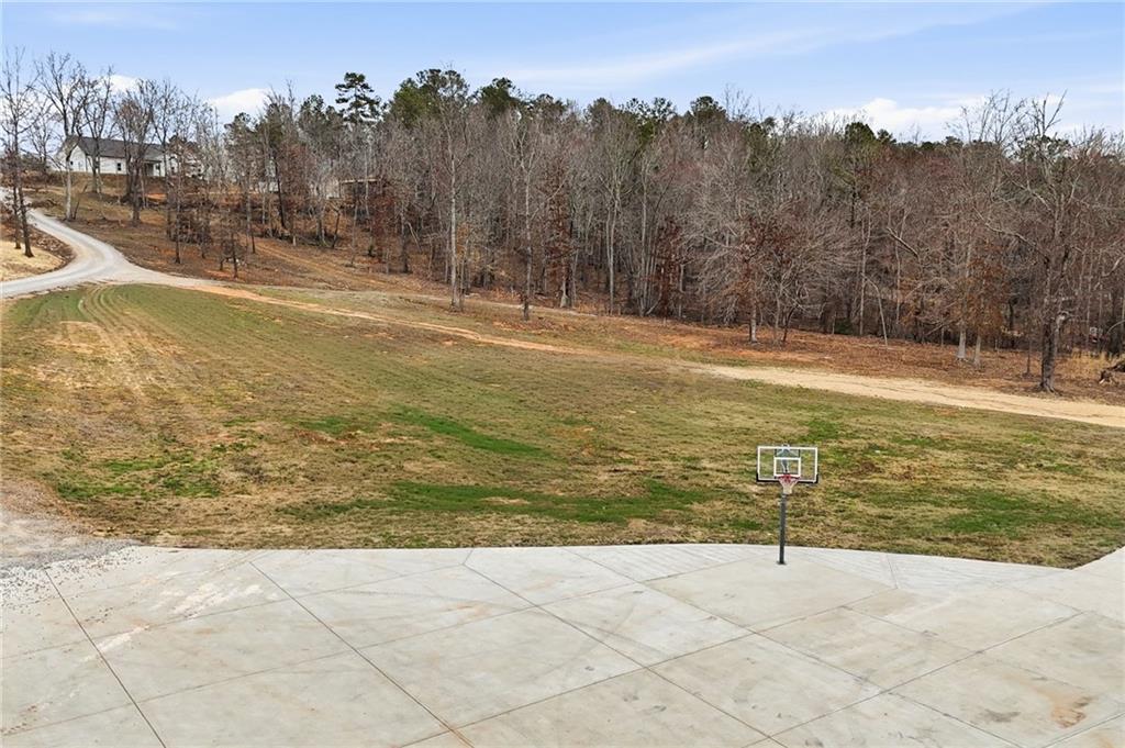 1100 Soap Creek Road Ball Ground, GA 30107 - Photo 11 of 123