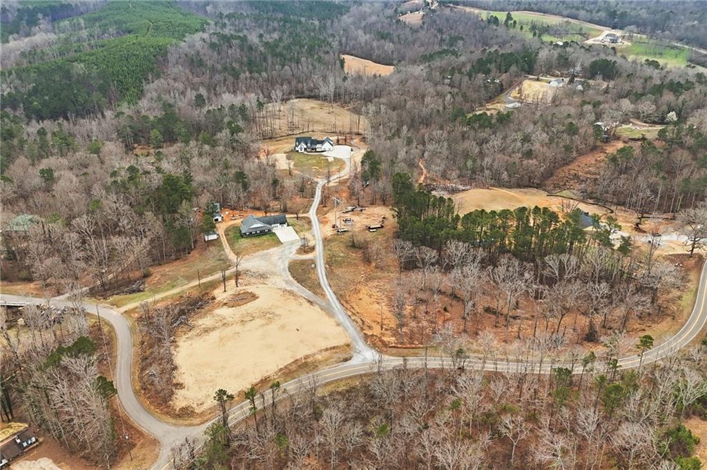 1100 Soap Creek Road Ball Ground, GA 30107 - Photo 6 of 123