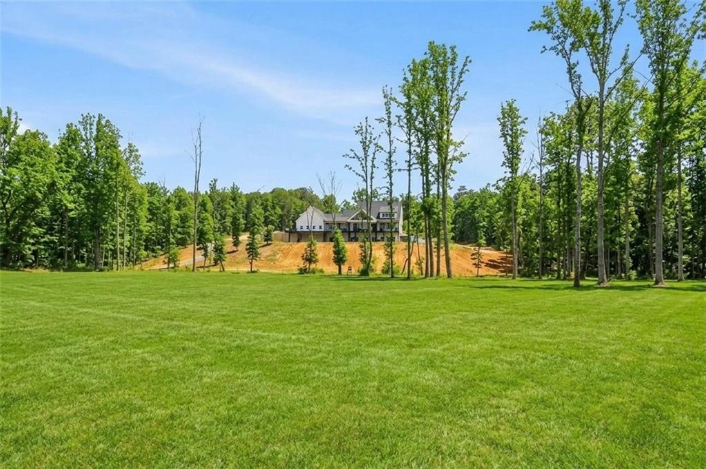1100 Soap Creek Road Ball Ground, GA 30107 - Photo 65 of 107