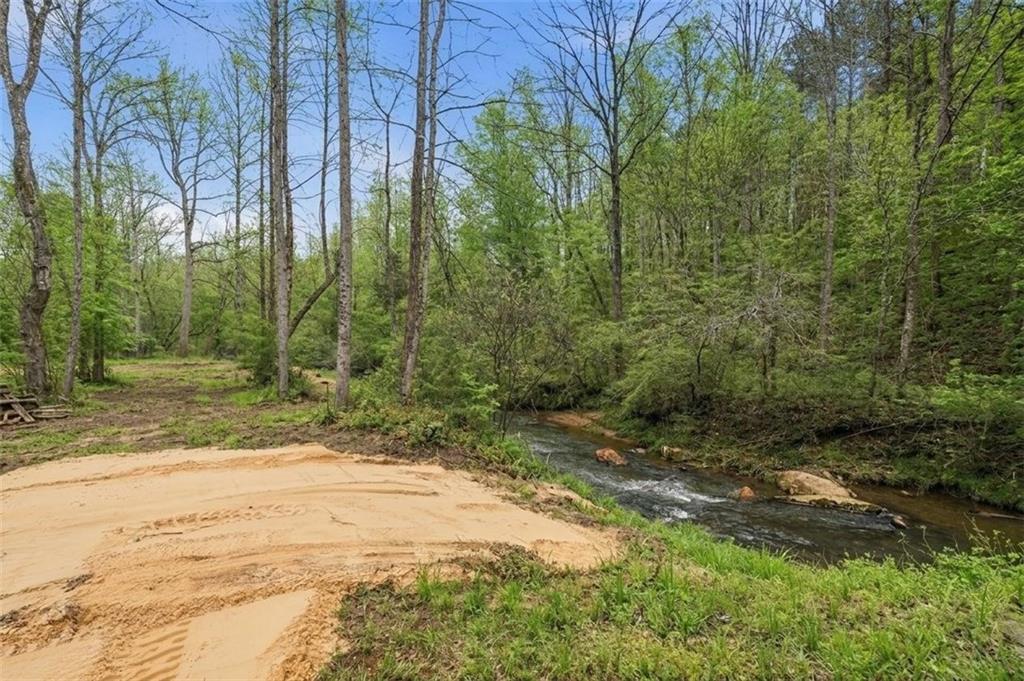 1100 Soap Creek Road Ball Ground, GA 30107 - Photo 7 of 107 a view of a yard with plants and trees