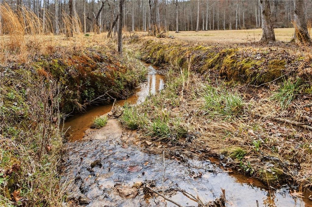 1100 Soap Creek Road Ball Ground, GA 30107 - Photo 75 of 123
