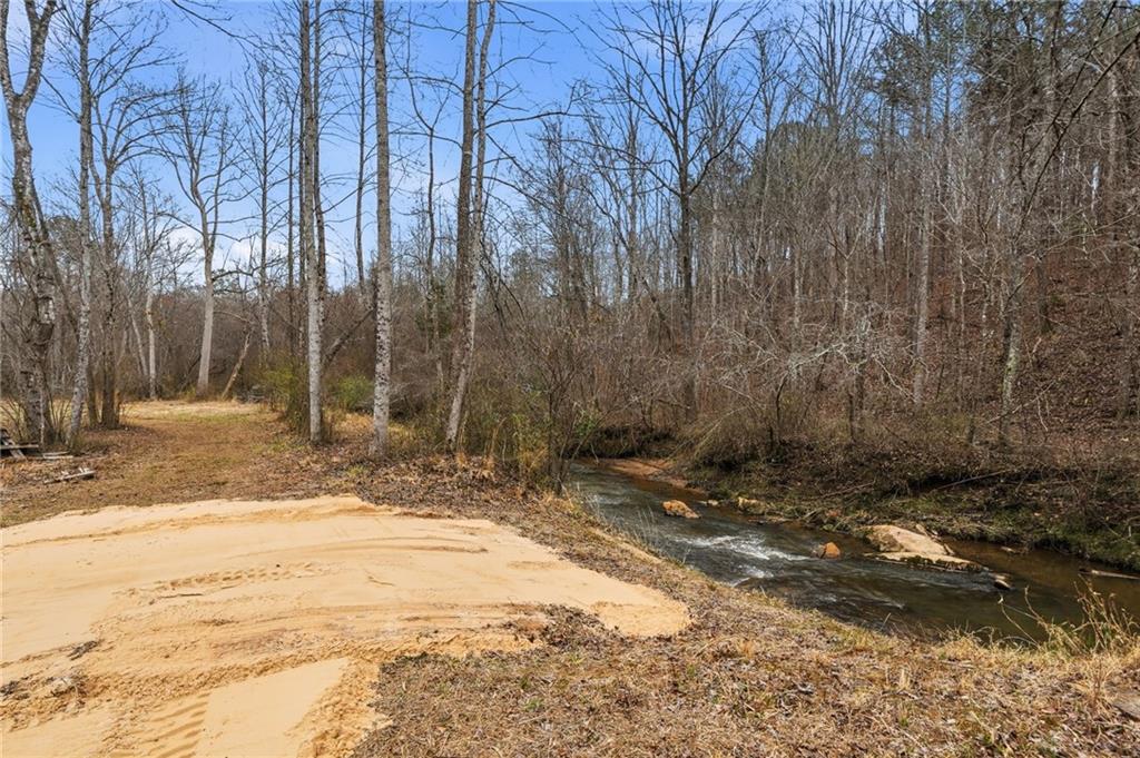 1100 Soap Creek Road Ball Ground, GA 30107 - Photo 77 of 123