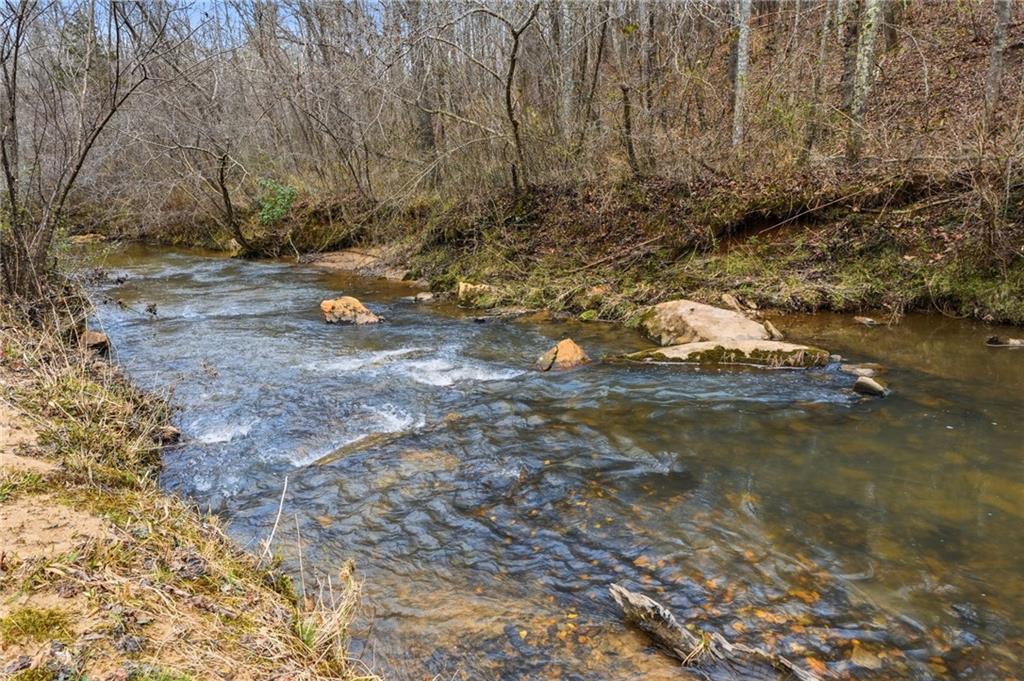 1100 Soap Creek Road Ball Ground, GA 30107 - Photo 78 of 123