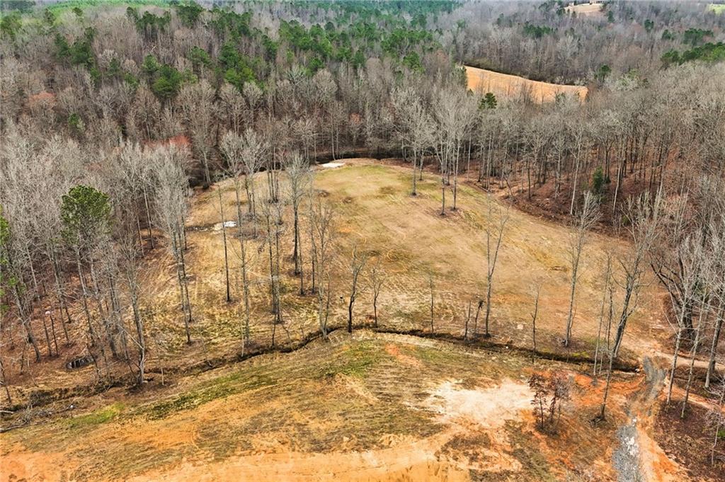 1100 Soap Creek Road Ball Ground, GA 30107 - Photo 8 of 123