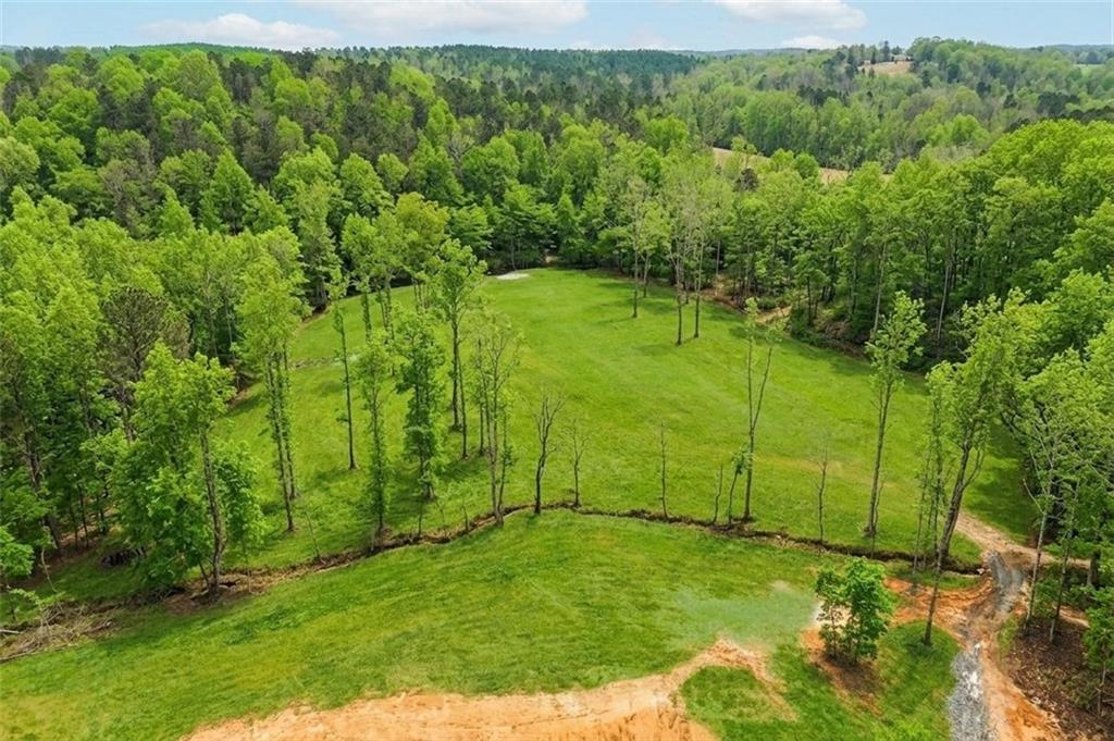 1100 Soap Creek Road Ball Ground, GA 30107 - Photo 10 of 107