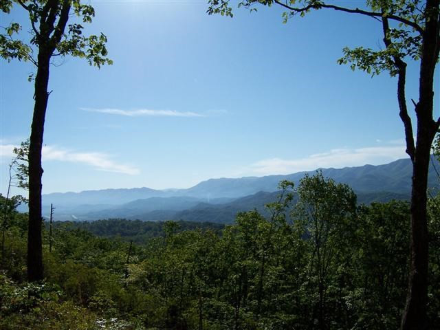 850 Bluff Road Marble, NC 28905 - Photo 3 of 8