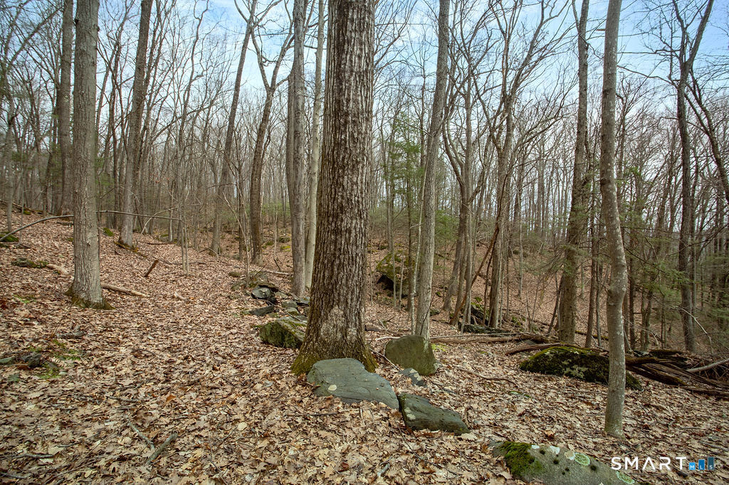 8 Chimney Hill Road Sherman, CT 06784 - Photo 4 of 12