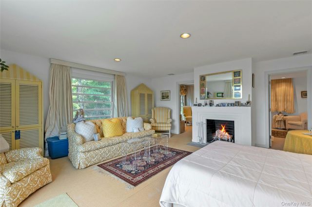 a view of a house with a plants and a large tree