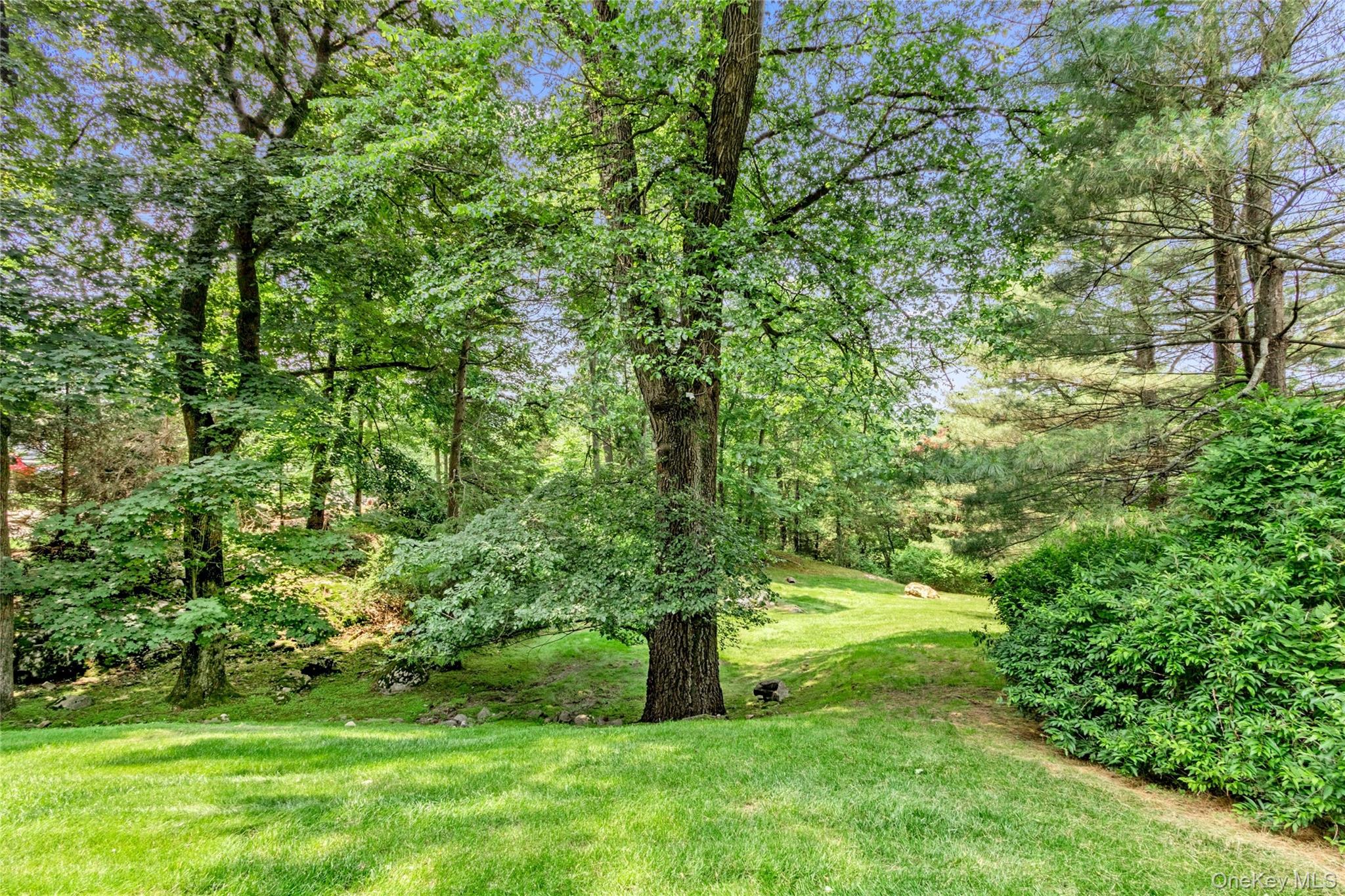94 Cliff Road Tuxedo Park, NY 10987 - Photo 33 of 37 a green field with lots of bushes