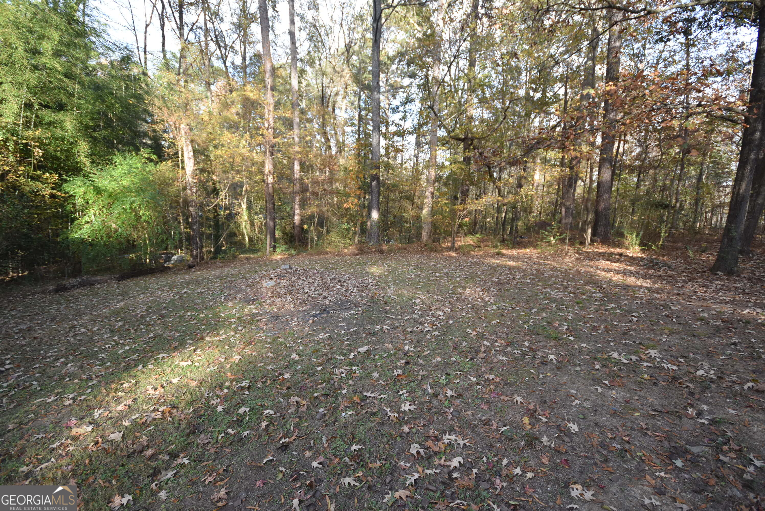 18 Lee Street Northwest Rome, GA 30165 - Photo 18 of 20 a view of a forest with trees in the background