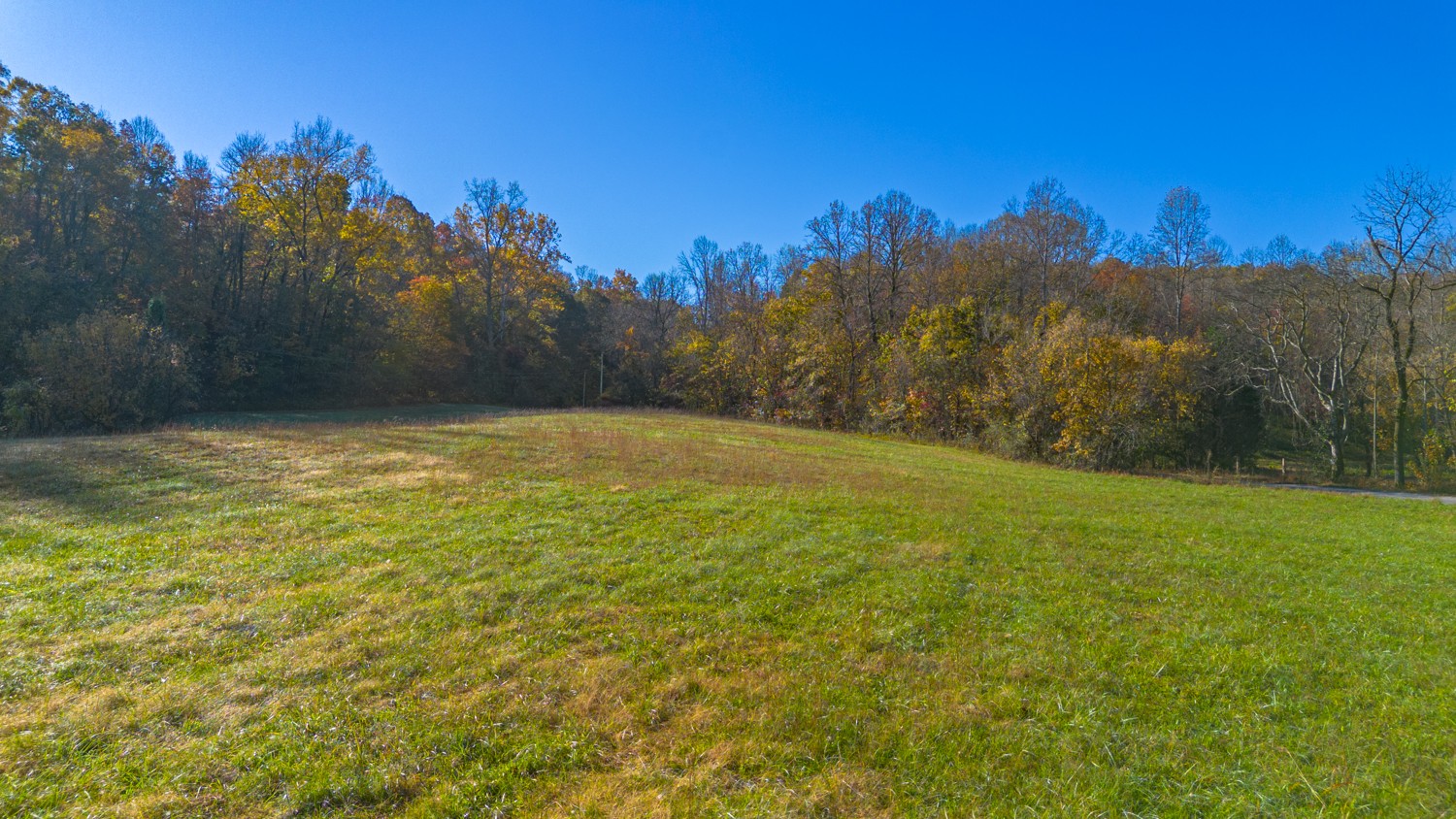 283 Fleeman Road Lawrenceburg, TN 38464 - Photo 11 of 17 a view of a yard with a house in the background