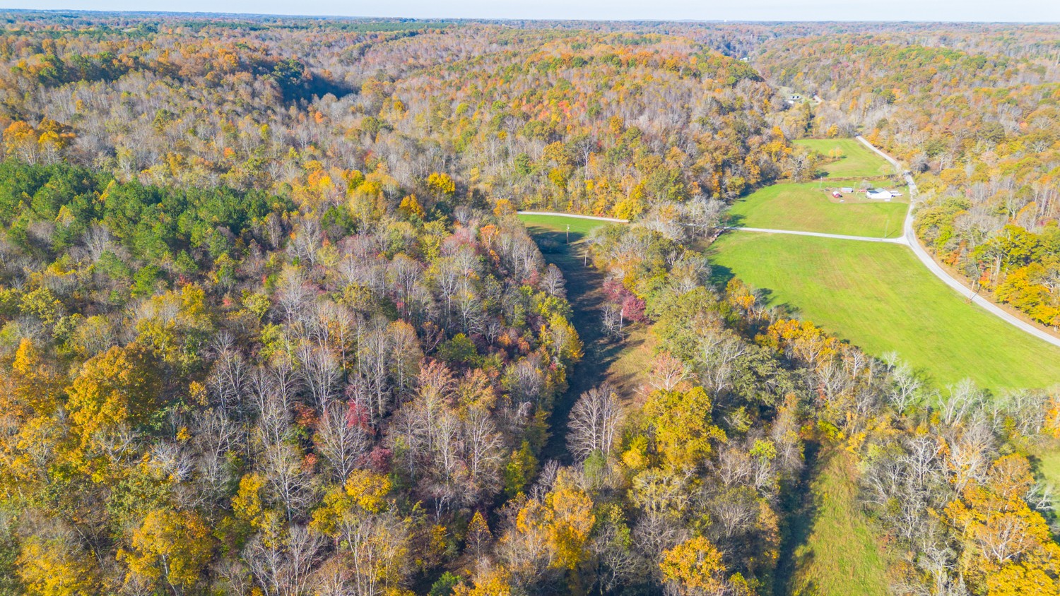283 Fleeman Road Lawrenceburg, TN 38464 - Photo 5 of 17 a view of lake view