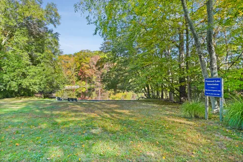 a view of a trees in a yard