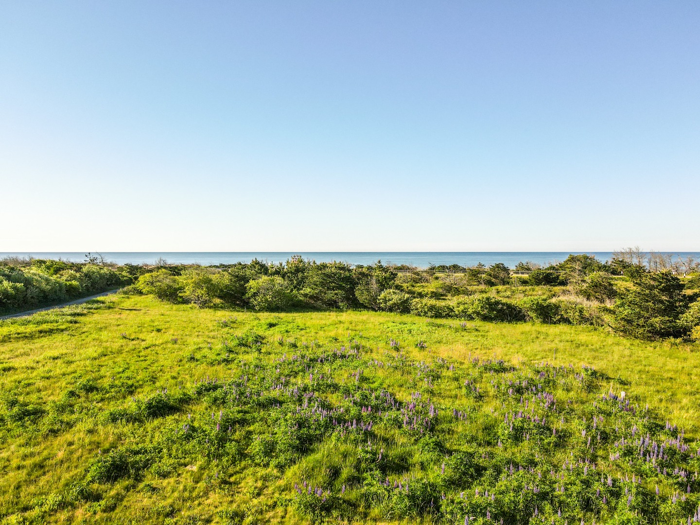 5 Atlantic Drive Edgartown, MA 02539 - Photo 5 of 13