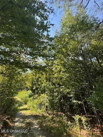 $185,000 | Musgray Road, Waterford, MS 38685