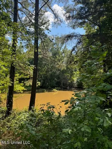 $185,000 | Musgray Road, Waterford, MS 38685