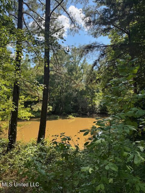 Musgray Road Waterford, MS 38685 - Photo 14 of 15 IMG_1392