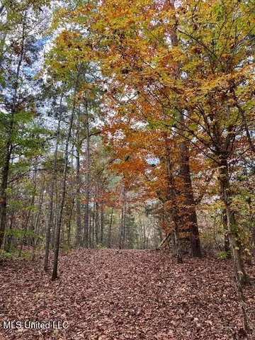 $185,000 | Musgray Road, Waterford, MS 38685