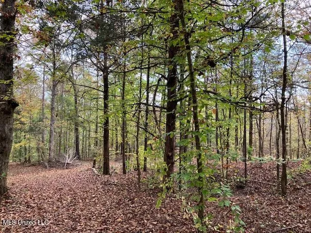 $185,000 | Musgray Road, Waterford, MS 38685