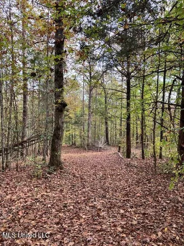 $185,000 | Musgray Road, Waterford, MS 38685