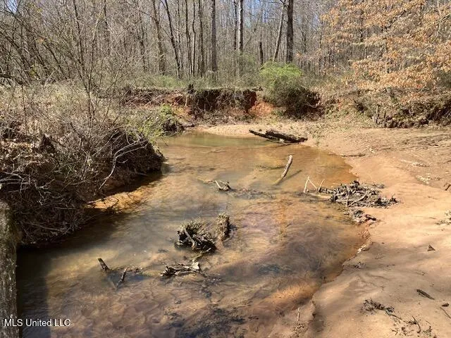 $185,000 | Musgray Road, Waterford, MS 38685