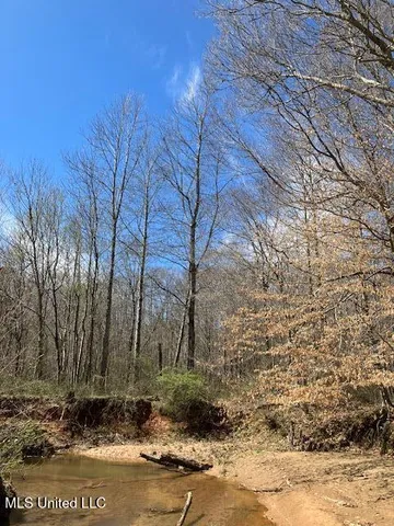 $185,000 | Musgray Road, Waterford, MS 38685