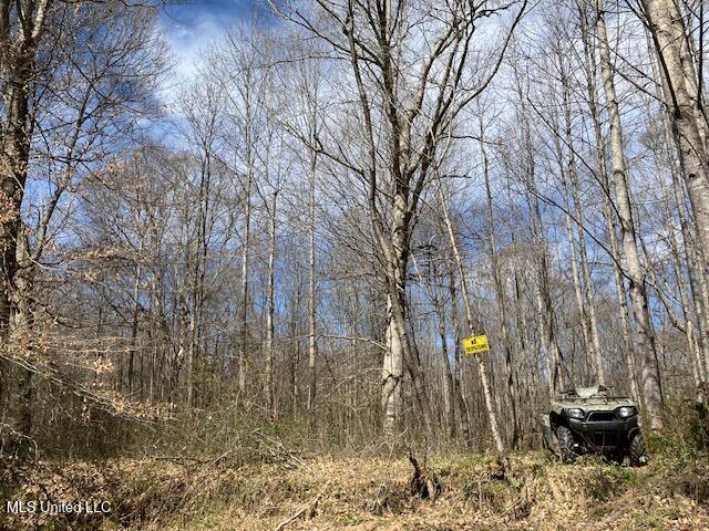 Musgray Road Waterford, MS 38685 - Photo 7 of 15 IMG_0320