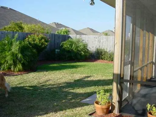 a view of a garden with an outdoor space