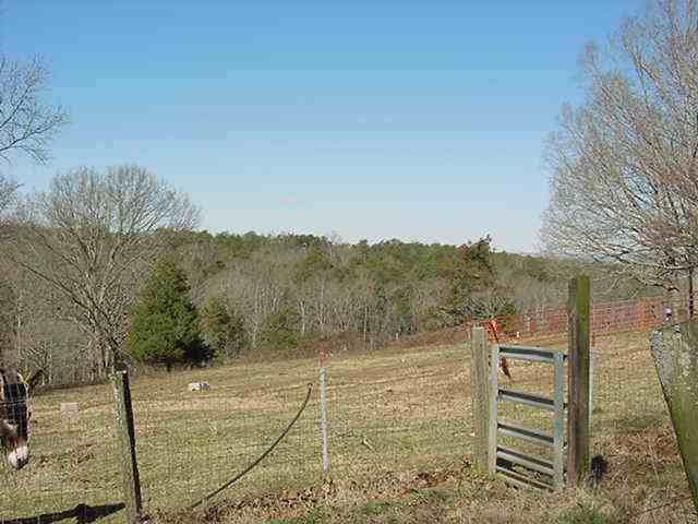 1449 Saluda Dam Road Easley, SC 29640 - Photo 6 of 7