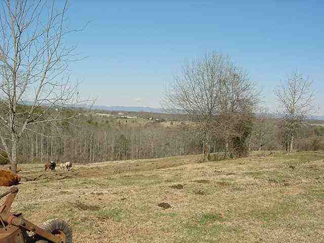 1449 Saluda Dam Road Easley, SC 29640 - Photo 7 of 7