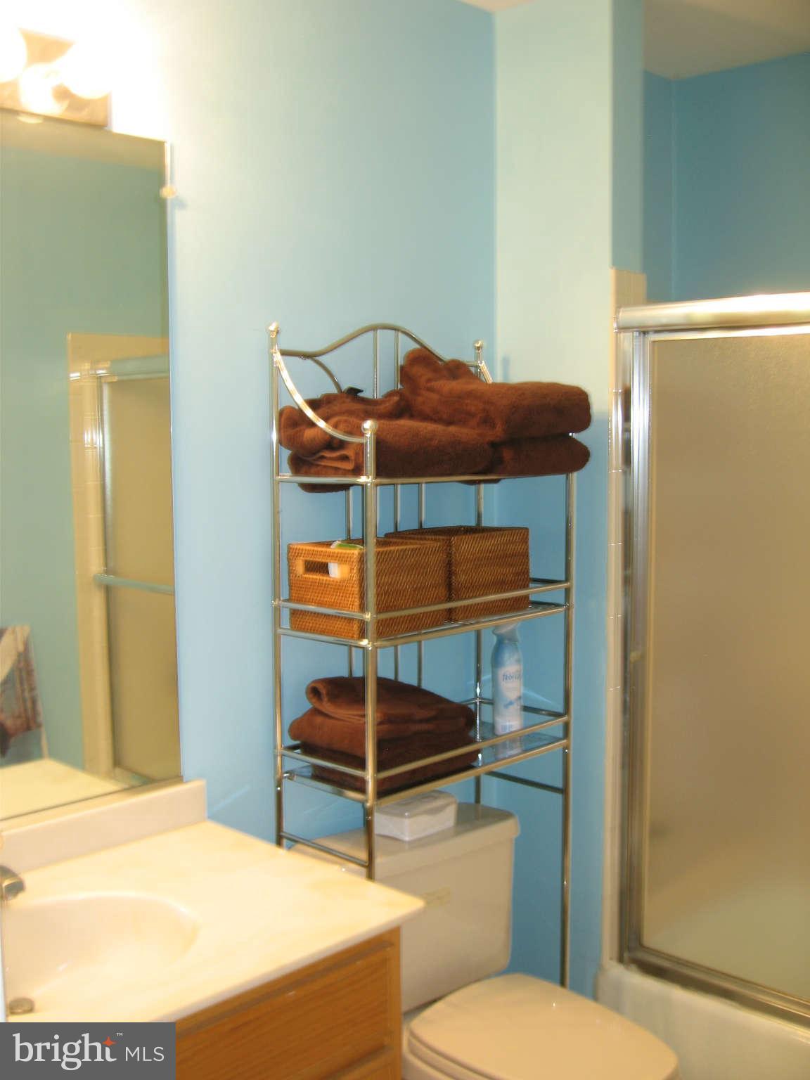 8004 Rising Ridge Road Bethesda, MD 20817 - Photo 22 of 30 Full Bath Room # 2