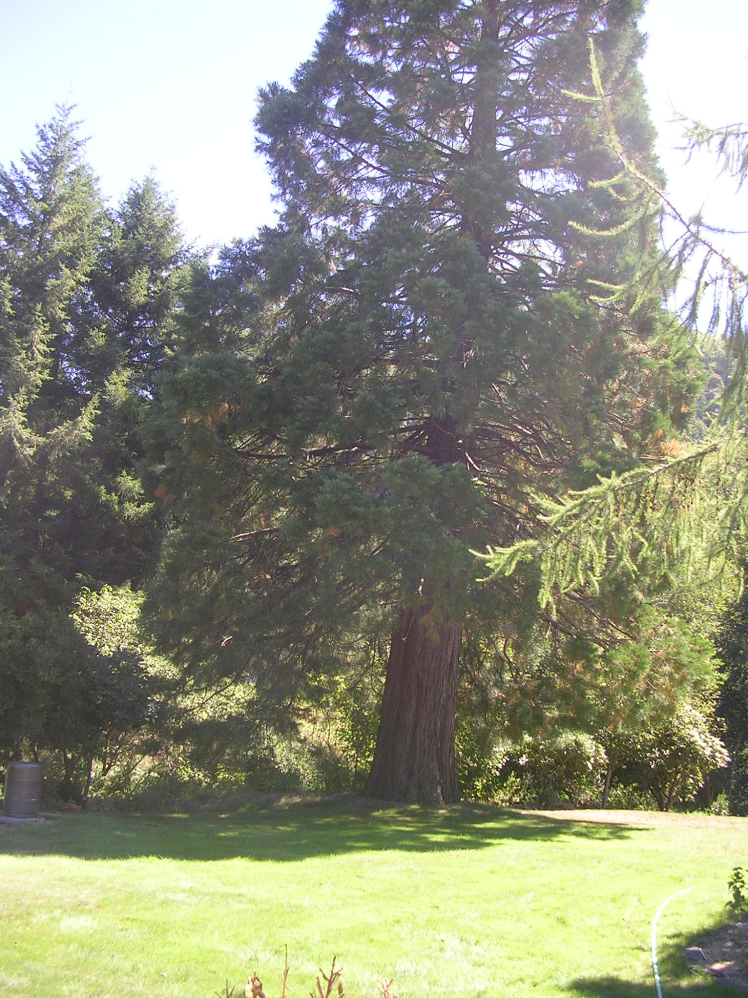 22305 Blaine Road Beaver, OR 97108 - Photo 17 of 17 DSCN3002