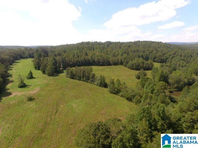 0 State Lake Road, Unit 31 ACRES Lineville, AL 36266 - Photo 7 of 15