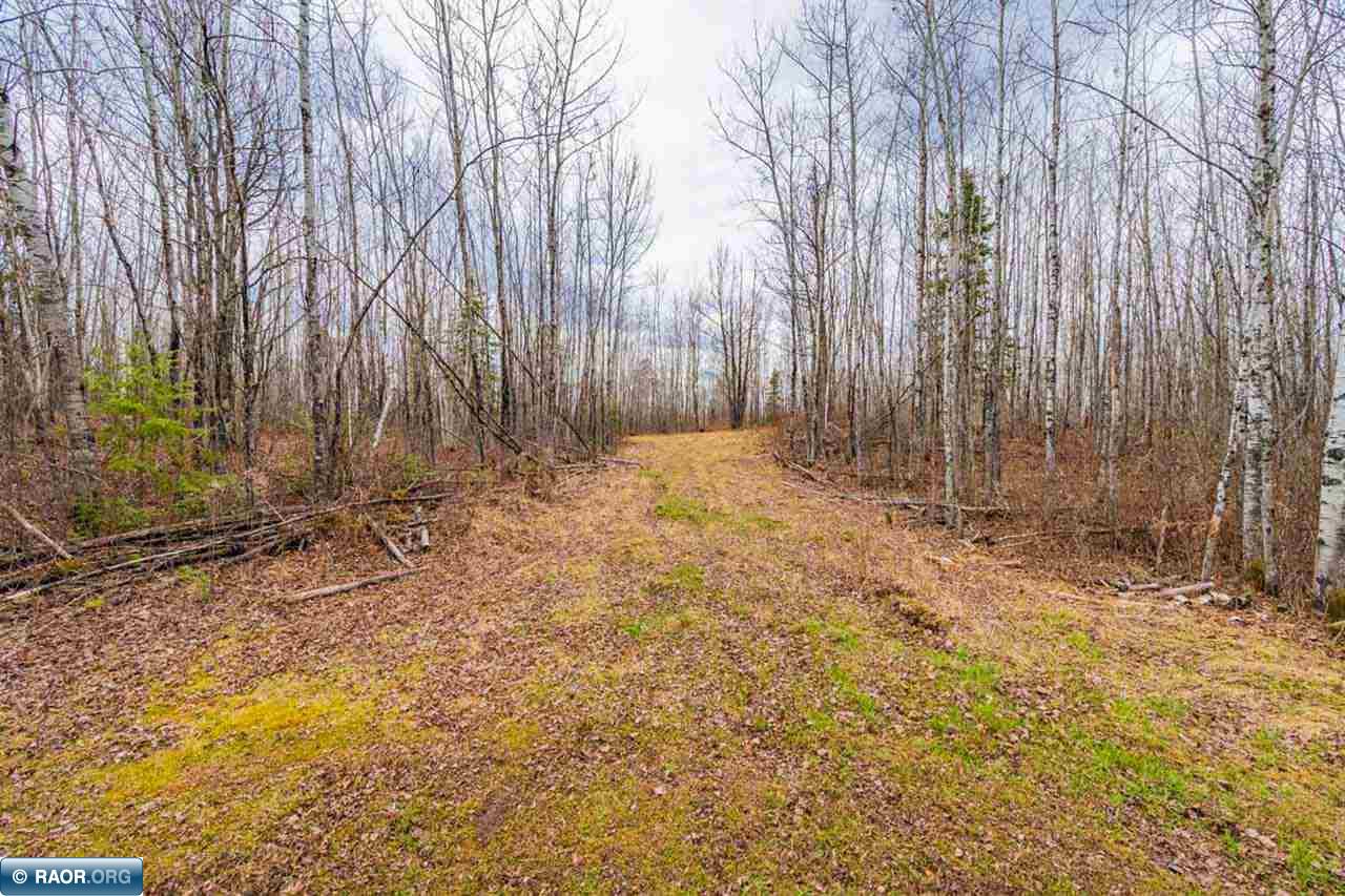 11212 Pozar Road Chisholm, MN 55719 - Photo 44 of 48