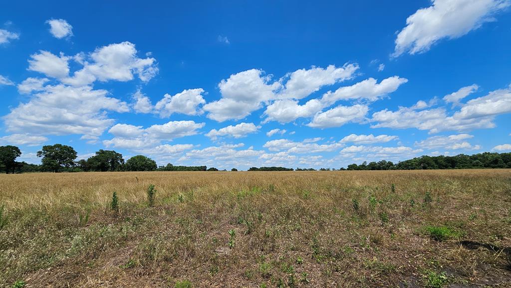 92 County Road 92 Slocomb, AL 36375 - Photo 33 of 58