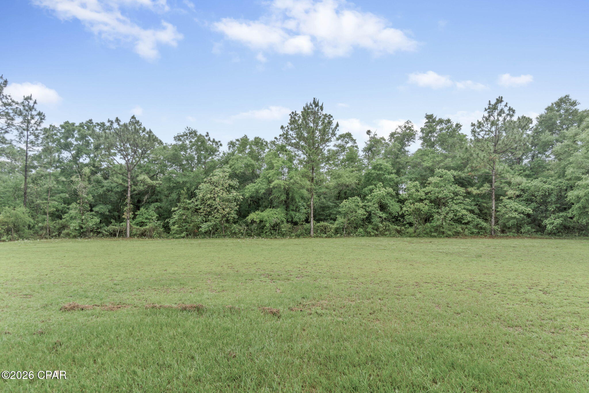 2809 Roche Road Chipley, FL 32428 - Photo 20 of 38